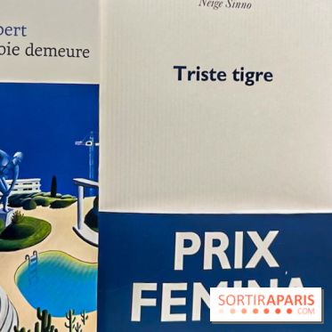 Prix littéraires : découvrez le palmarès de cette année 2023