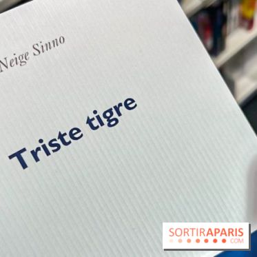 Prix Femina 2023 : "Triste tigre" de Neige Sinno récompensé, un roman qui brise le silence