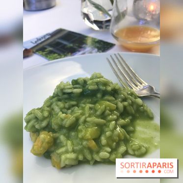 La Terrasse du Pavillon Ledoyen