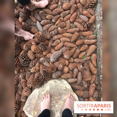 Le Parcours Biodiversité du Parc Zoologique de Paris