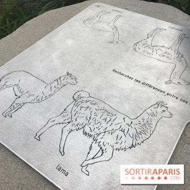 Le Parcours Biodiversité du Parc Zoologique de Paris