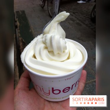 My Berry, Glace au yaourt