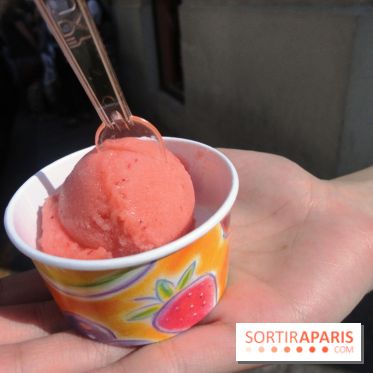 Berthillon, Sorbet Framboise