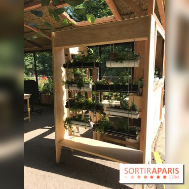 Jardins Jardin 2017 aux Tuileries, les photos