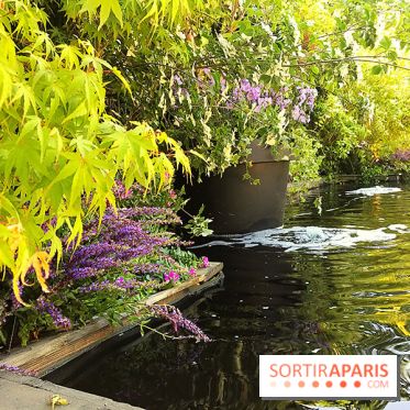 Jardins Jardin 2017 aux Tuileries, les photos