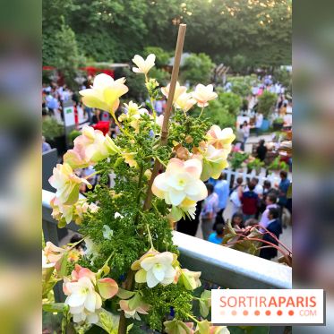 Jardins Jardin 2017 aux Tuileries, les photos