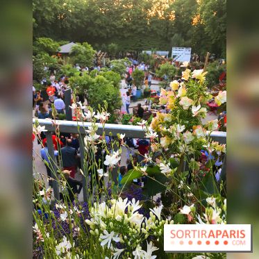 Jardins Jardin 2017 aux Tuileries, les photos vue