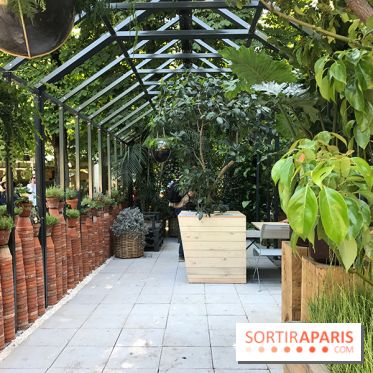 Jardins Jardin 2017 aux Tuileries, les photos