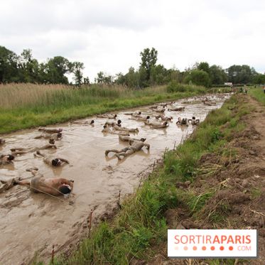 Spartan Race 2017, les photos