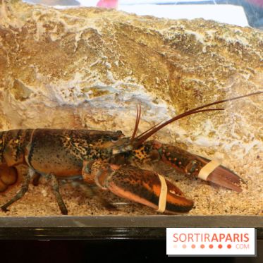 Grand Bistro Breteuil