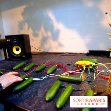 Journée Mondiale du Concombre à la Cartonnerie