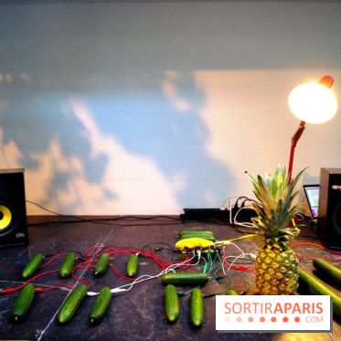 Journée Mondiale du Concombre à la Cartonnerie