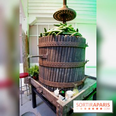 Journée Mondiale du Concombre à la Cartonnerie