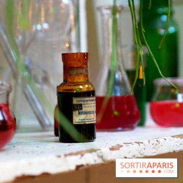 Journée Mondiale du Concombre à la Cartonnerie