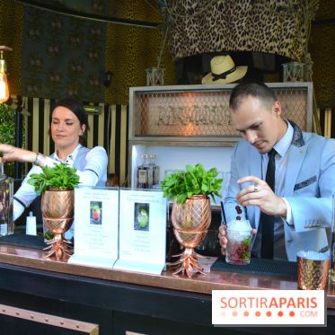 La terrasse cachée du Saint-James