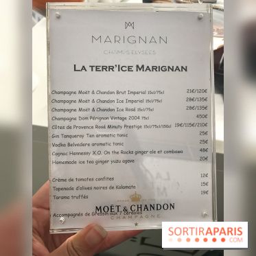 Le rooftop de l'Hôtel Marignan