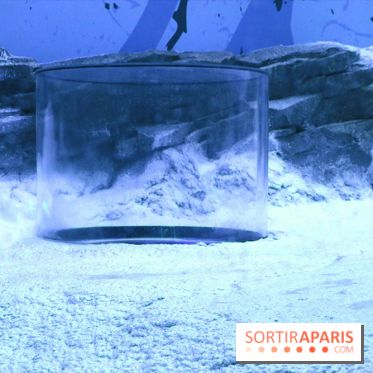 Les Manchots de l'Aquarium Sea Life