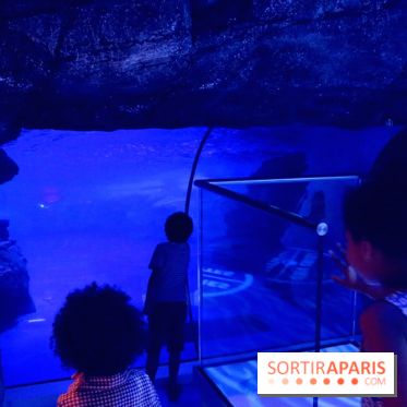 Les Manchots de l'Aquarium Sea Life
