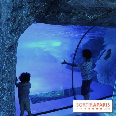 Les Manchots de l'Aquarium Sea Life