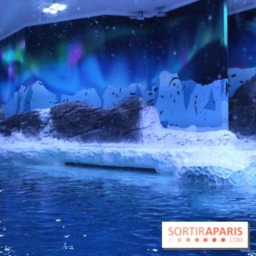 Les Manchots de l'Aquarium Sea Life