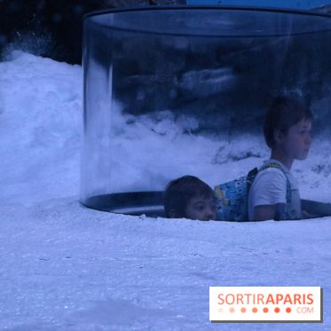 Les Manchots de l'Aquarium Sea Life