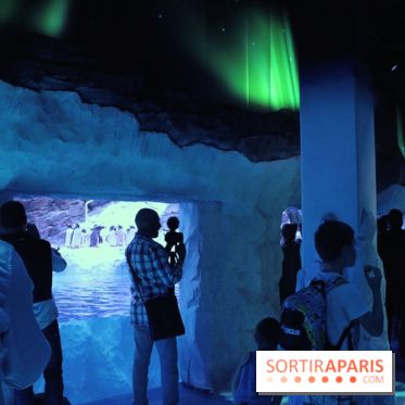 Les Manchots de l'Aquarium Sea Life