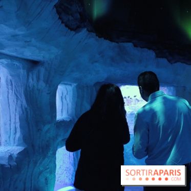 Les Manchots de l'Aquarium Sea Life