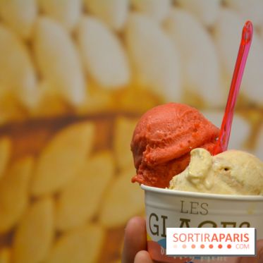 Les glaces chez Le Roy René