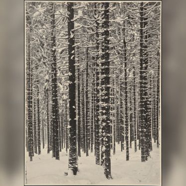 Jeu de Paume hiver 2017