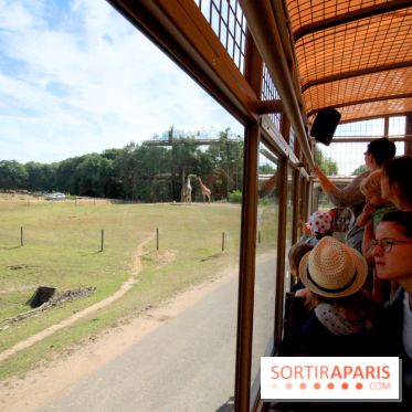 Camion Safari : une visite guidée dans les coulisses de Thoiry