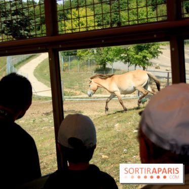 Camion Safari : une visite guidée dans les coulisses de Thoiry