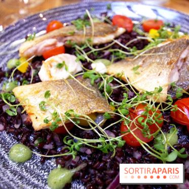 Les Fous de l'île : dorade royale