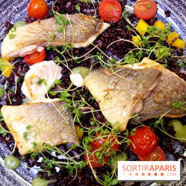 Les Fous de l'île : dorade royale