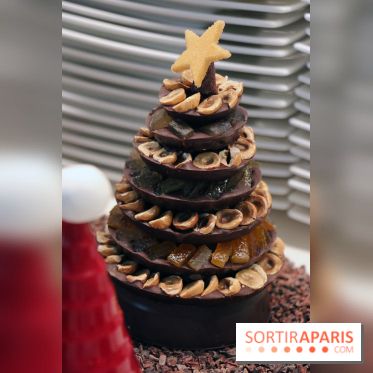 Les Bûches et créations de Noël 2017 de Christophe Michalak