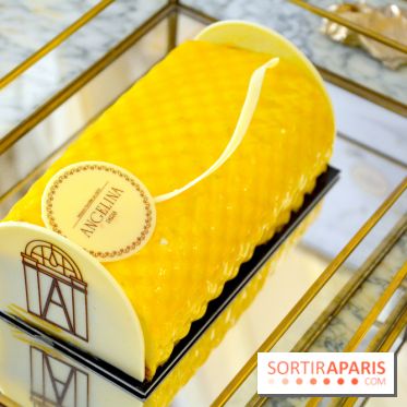 Les bûches de Noël 2017 de Angelina