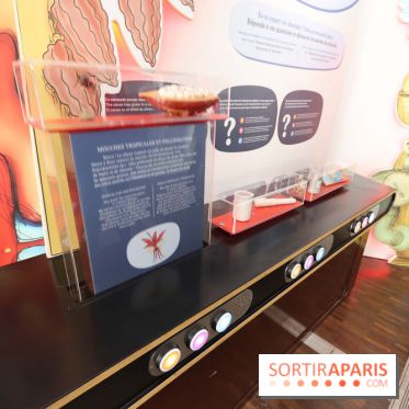 Il était une fois, l'expo science à la Cité des Sciences