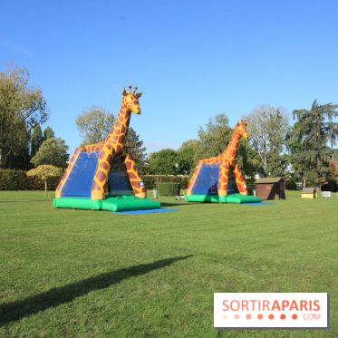Ventes de voitures d'occasion à 'lhippodrome de St Cloud