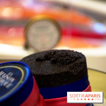 La Maison Nordique x Marin Montagut