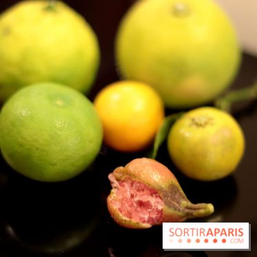 Le Limon : le nouveau resto de Juan Arbealez, les photos