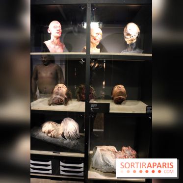 Effets Spéciaux , Crevez l'écran !