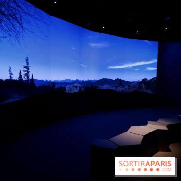 Exposition Météorites au Muséum national d'Histoire naturelle, les photos