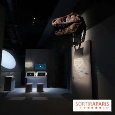 Exposition Météorites au Muséum national d'Histoire naturelle, les photos