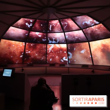 Exposition Météorites au Muséum national d'Histoire naturelle, les photos