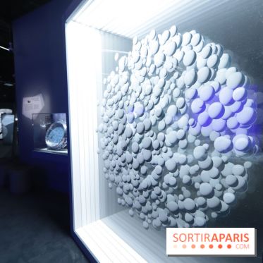 Exposition Météorites au Muséum national d'Histoire naturelle, les photos