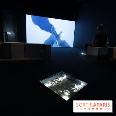 Exposition Météorites au Muséum national d'Histoire naturelle, les photos