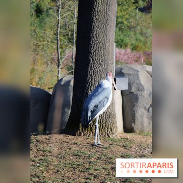 Mission Protéger au Parc Zoologique
