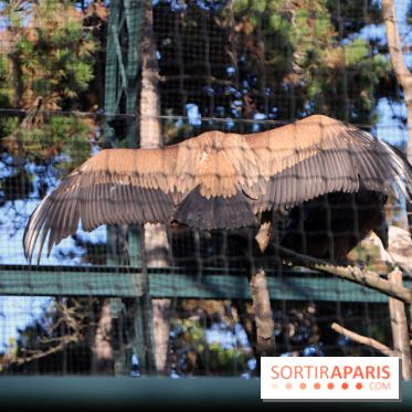 Mission Protéger au Parc Zoologique