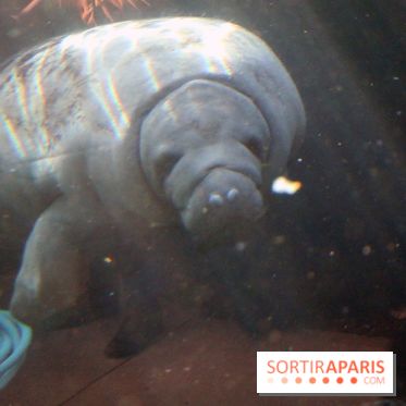 Mission Protéger au Parc Zoologique