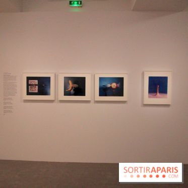 Exposition Pop Art au Musée Maillol