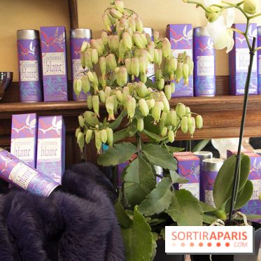 Noël 2017 chez Mariage Frères